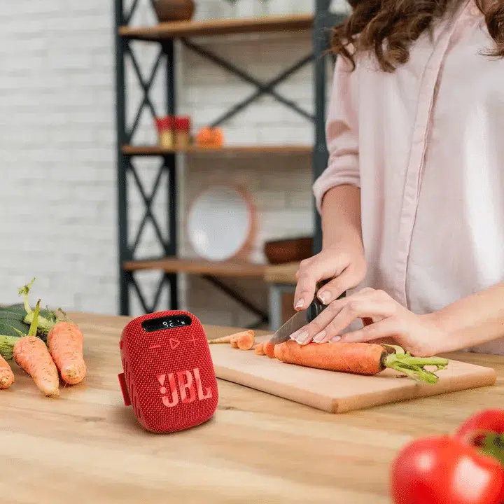 jbl-wind3-portable-fm-bluetooth-speaker-info-03