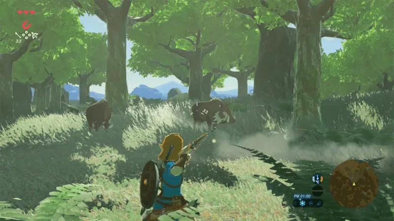 nintendo-the-legend-of-zelda-breath-of-the-wild-nintendo-switch-2-edition-06