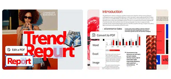 adobe-acrobat-studio-info-05